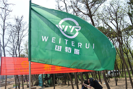 彩运网旗帜
